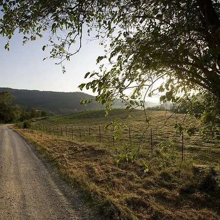팜스테이 Agriturismo Il Cucciolo *